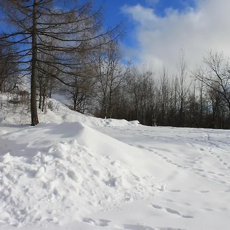Hellene Snow Stary Smokovec Високе-Татри
